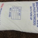 삼항2리 이미지