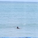 정훈희김태화 꽃밭에서 이미지