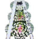 근조화환꽃배달관엽식물