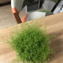 새차하기 좋은날 이미지