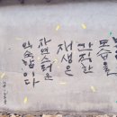 유룡고택