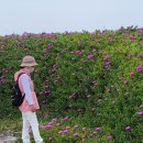 애월환해장성 이미지