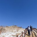 대촌관광농원 이미지