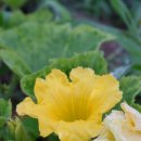 아침들녘 이미지