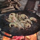 정이품송캠핑장 이미지