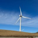 삼양목장 | [대관령 놀거리] '대관령 삼양 라운드힐' 양떼목장 방문 후기 (양 먹이주기, 삼양라운드힐 카페)