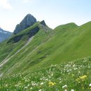 사계절풍경 이미지