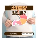 꽃단비한의원 | 울산 삼산동 꽃단비한의원이 알려주는 소화불량 원인