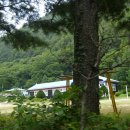 신왕초 부연분교장 이미지