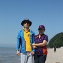 대부도 - 용인시 처인구 | 대부도