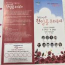 영강체육공원 차량통제 차단기쪽 | 2022년 양주 나리농원 천일홍축제 다녀온 솔직후기 +알아두면 좋을 정보!