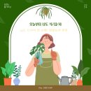 허브향 가득한 자급자족 홈가드닝 | [홈가드닝] EP 5. 초보 식집사의 다이소 씨앗 첫 수확기!! | 아파트 베란다 미니 텃밭요리 10...