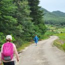 지리산운봉흙돼지 이미지