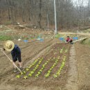 경용농장 이미지