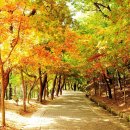 부여IC(공주)