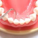 강화 탑치과의원 이미지