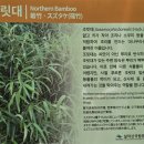 와선대화장실 이미지