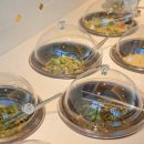 엄마품마을 이미지