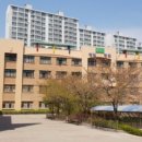 옥길버들초 이미지