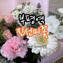 [리뷰][인천] 부평역 꽃집 진선미꽃 / 꽃다발 예약 후기 / 내돈내산