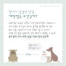 더클래스동물메디컬센터 이미지