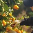 맛있는수지네 이미지