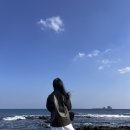 (주)레이온 | Atelier Nain 아뜰리에 나인 비건 레더자켓 구매 후기 (스트레이트 체형 추천)