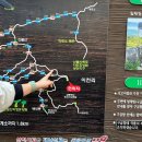 울릉도 알프스 | [울산] 간월재 / 가을 등산 명소 억새군락지 영남알프스 직접산행 후기