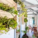 CRANE WORLD 이미지