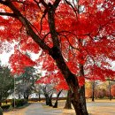 용면초등학교 이미지