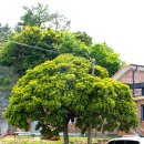 동송산업(주) 이미지