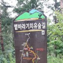 선달산캠핑장 이미지