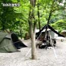 히어리캠핑장펜션 | 강원도 영월 자연과 함께하는 히어리캠핑장 솔직 후기 🌿
