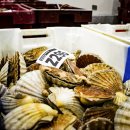 동선행정사사무소 이미지