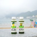 바른먹거리녹즙 | 풀무원녹즙 데일리클렌즈 레몬&케일 풀무원녹즙 데일리클렌즈 청귤&미나리 모닝 루틴 후기