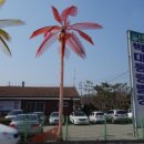 스파피아 이미지