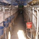 갈렙농장 이미지