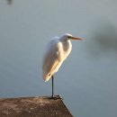 신대호수 이미지