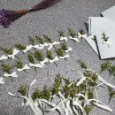 무진태권도 이미지