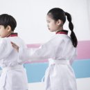 용인대 엘리트 태권도 이미지