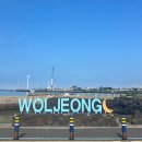 (주)렌트카코아 | 바쁜 일상 1박 2일 제주 동쪽 자유여행 후기