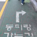 동피랑사람들 | 통영 가볼만한곳 추천! 동피랑 벽화마을 산책하며 통영항 전망까지 즐긴 후기