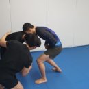 알파레슬링 이미지