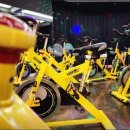 아라핏짐 이미지