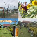 초대1리 이미지