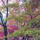 감악산산촌마을 이미지