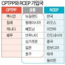 CPTPP 가입 추진하는 중국의 노림수 이미지