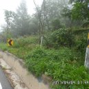 장한말길 이미지