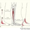 사과나무한의원 이미지