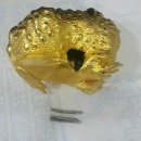 금두꺼비 이미지